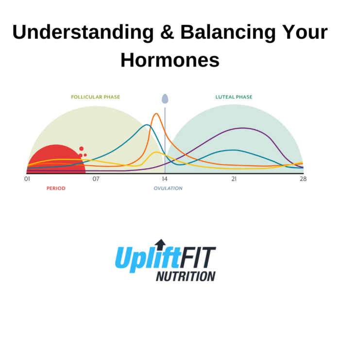 Hormonal Health: Understanding and Balancing Your Body